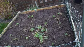 20190328_165330.webp