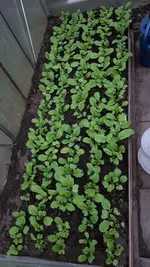 20190328_165307.webp