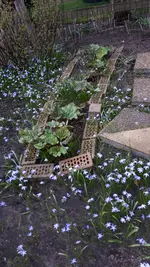20190328_165908.webp