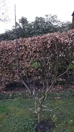 20190328_165930.webp