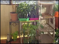 c014.webp