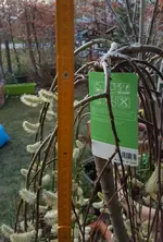 20190329_192821_resized.webp