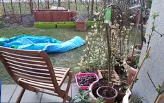 20190329_192936_resized.webp