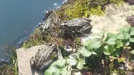 20190329_134828.webp