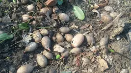 20190329_130850.webp