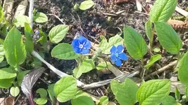 20190329_121251.jpg