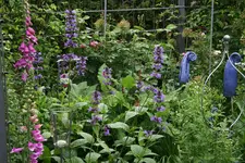 Juni6516.webp