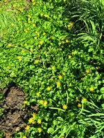IMG_20190330_101505.webp
