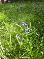 20190330_123602.webp