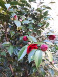 20190330_094033.jpg