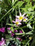 20190330_132805.jpg