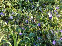image005.webp