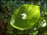 c021.jpg