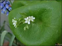 c023.webp