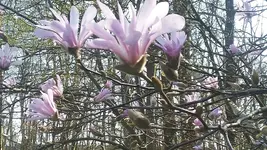 20190330_114347.webp
