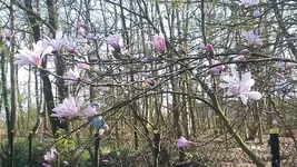 20190330_114420.jpg