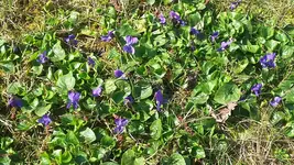 20190330_114550.webp