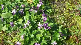 20190330_114611.webp
