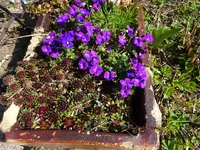 DSC00163.webp