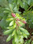 20190401_105216.jpg