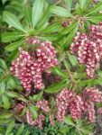 20190401_105234.jpg