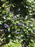 BILD0836.JPG