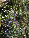 BILD0837.JPG