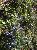 BILD0837.webp