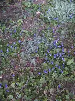 BILD0839.webp