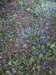 BILD0839.JPG