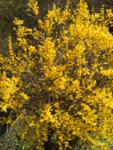 BILD0845.JPG