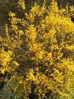 BILD0845.webp
