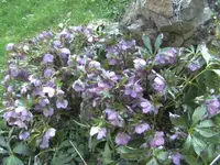 BILD0838.JPG