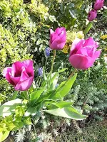 DSCI2835.webp