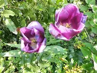 DSCI2856.webp