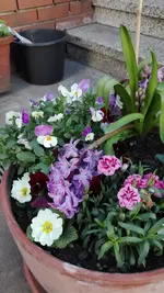 IMG_20190401_170308.webp