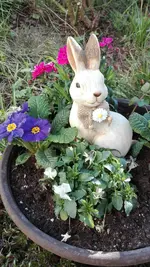 IMG_20190401_165002.webp