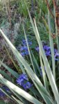 IMG_20190401_164924.jpg