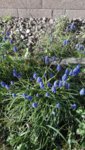 IMG_20190401_164803_BURST005.jpg