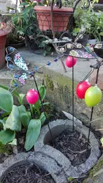 IMG_20190401_164723.webp