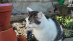 IMG_20190401_164415.jpg