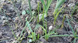 IMG_20190401_164319.webp
