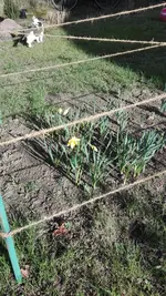IMG_20190401_163233.webp