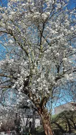 IMG_20190401_163158.webp