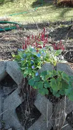 IMG_20190401_163127.webp