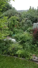 IMG_20180518_154003.webp
