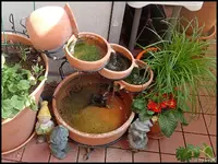c028.webp