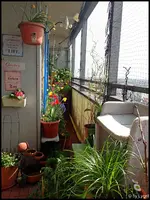 c031.webp