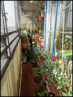 c032.webp