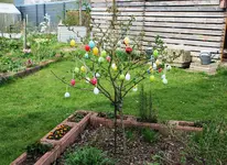 Gartenvergleich 2. April 2.webp
